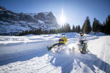 Two people are sledding side by side down the sledding run from Grosse Scheidegg to Schwarzwaldalp. As they brake, fine powder snow is kicked up and becomes visible against the backlight of the sun. In the background, the Wetterhorn rises above a row of dark fir trees.