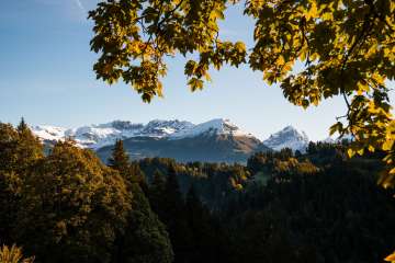 Leaves in autumn colors frame the view of a mountainous landscape with snow-capped peaks.
