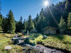 Two hikers are walking along the Säumerweg trail in Gadmen. They are crossing the mountain stream on a small wooden bridge in front of an alpine hut. The sun is shining down on the clearing from above the fir trees.
