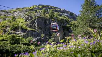 50% Rabatt: Hospizbahn, Grimsel Hospiz
