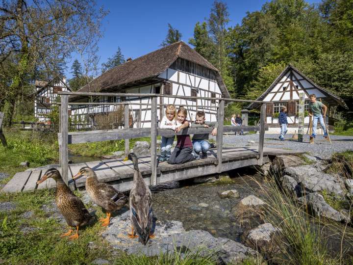 Ballenberg – Musée suisse en plein air