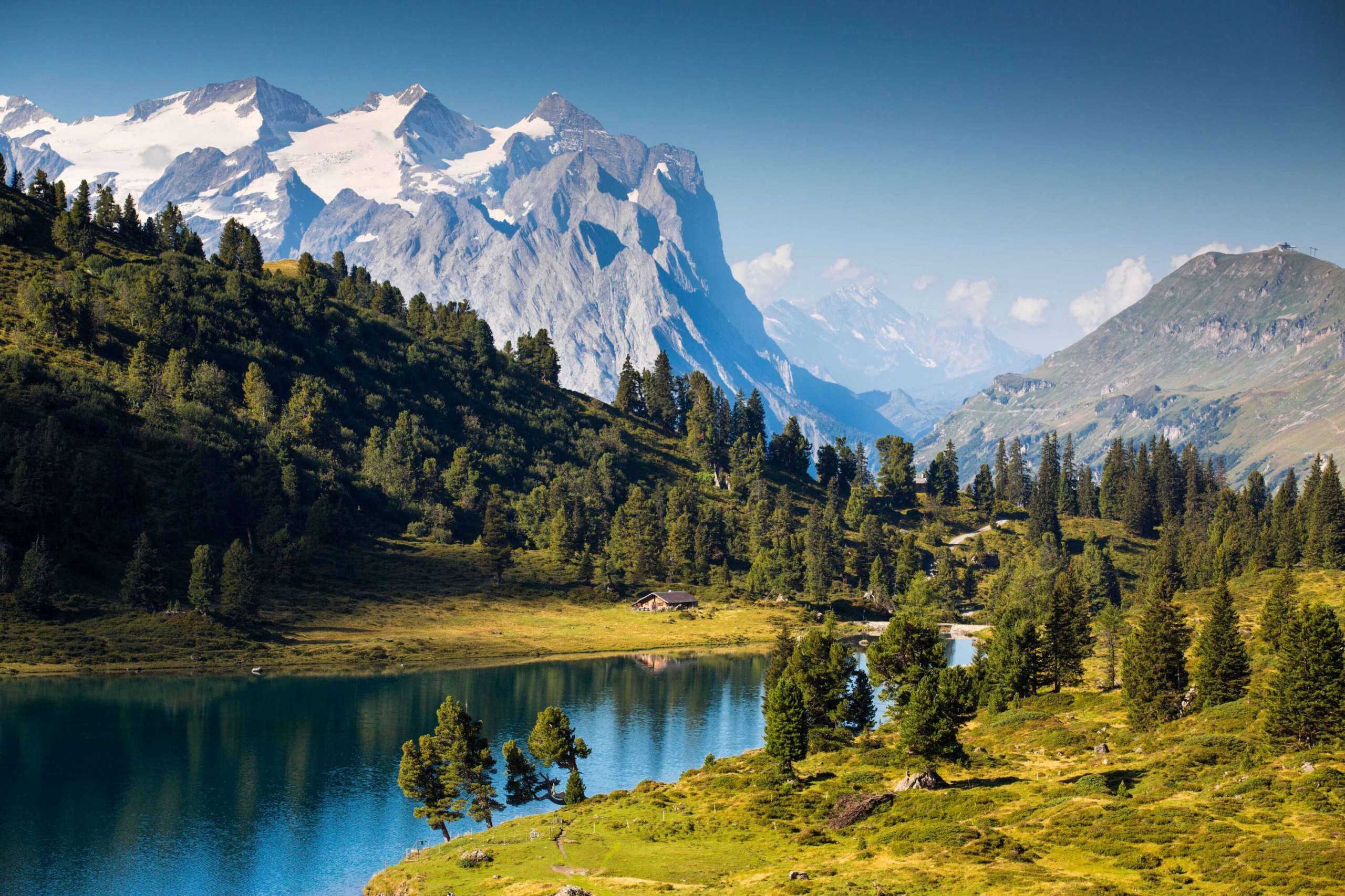 Der Engstlensee ist umgeben von grünen Wiesen und Nadelbäumen. Im Hintergrund sind die verschneiten Berggipfel zu sehen.