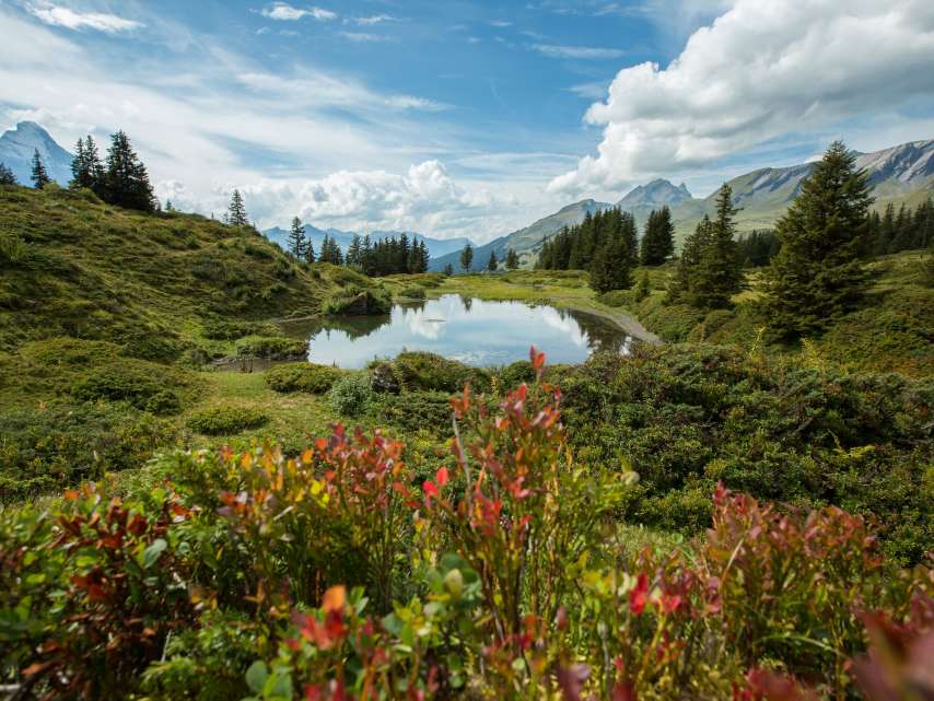 Lake and mountain in the Jungfrau Region