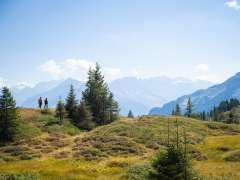 Deux randonneurs se promènent dans la tourbière haute de la vallée du Hasli. Ils profitent des prairies verdoyantes, du soleil et de la vue imprenable sur la vallée.