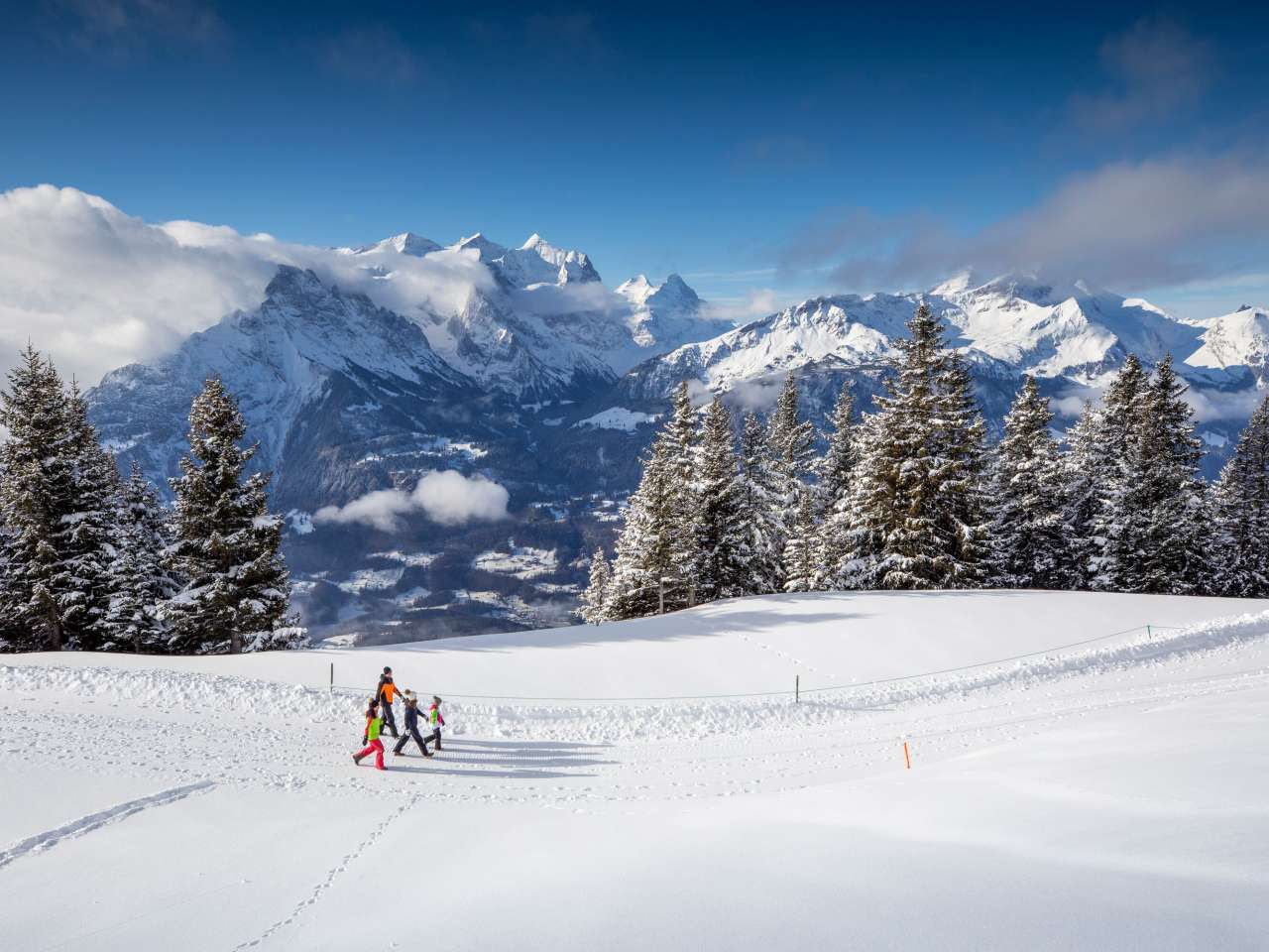 Randonnées hivernales
