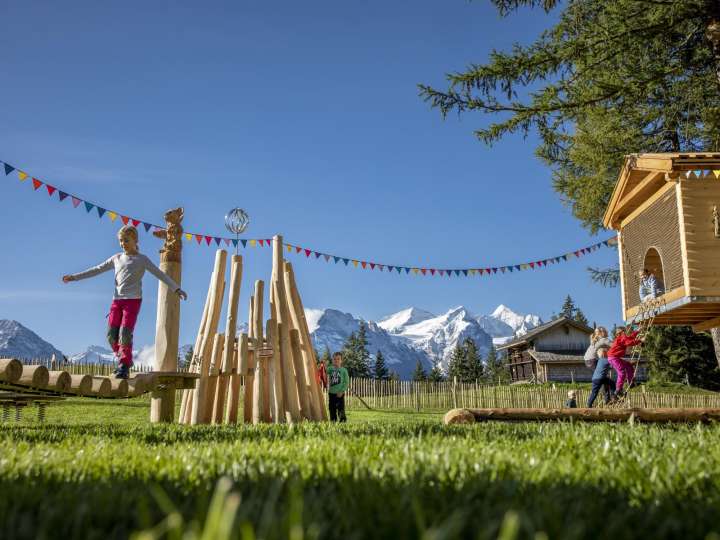 Dwarf playground Bidmi