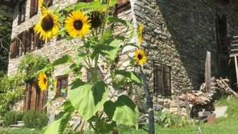 Rauft holiday home