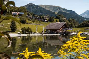 On the shores of Lake Hasliberg stands a small wooden house with a terrace right on the water. Bright yellow flowers are blooming in the foreground. The lake is surrounded by green meadows, trees, and a few houses, while forested hills and mountains rise in the background.