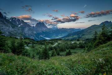 Die grosse Scheidegg mit ihren Wiesen und Tannen. Das Bergpanorama rund um Grindelwald ist im Hintergrund zu sehen.