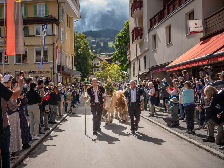 Vivez l’Alpabzug – le retour coloré des animaux dans la vallée