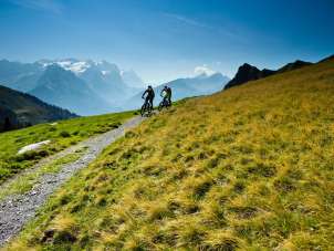 Two mountain bikers are riding along a mountain trail through the alpine landscape of the Hasliberg. The peaks of the Bernese Alps are visible in the background, while sunny mountain meadows dominate the scene.