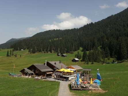 Bidmi, le bistrot de l'ours