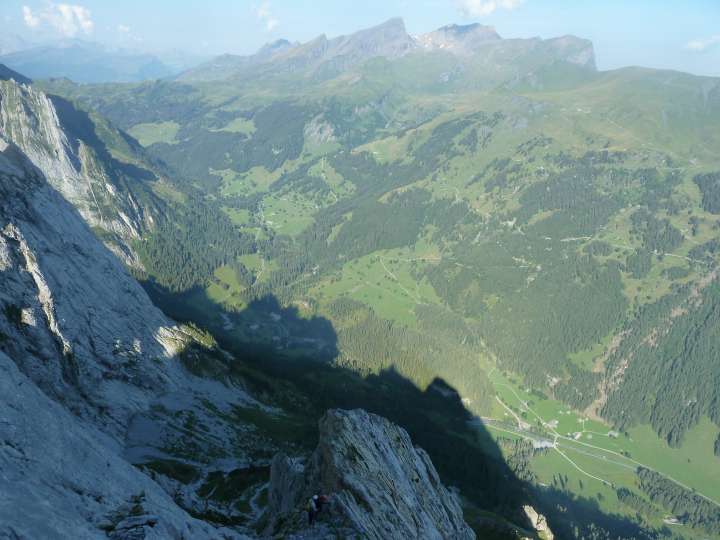 Small and large Simelistock