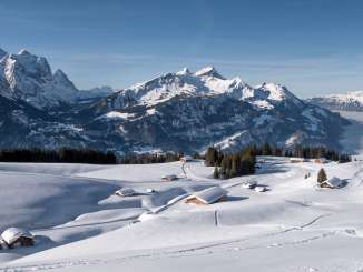 Winter Wonderland: A snow-covered landscape on the Hasliberg, high above a sea of fog.