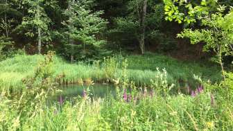 Naturperlenweg 4