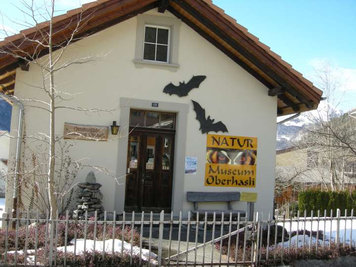 Naturmuseum Oberhasli