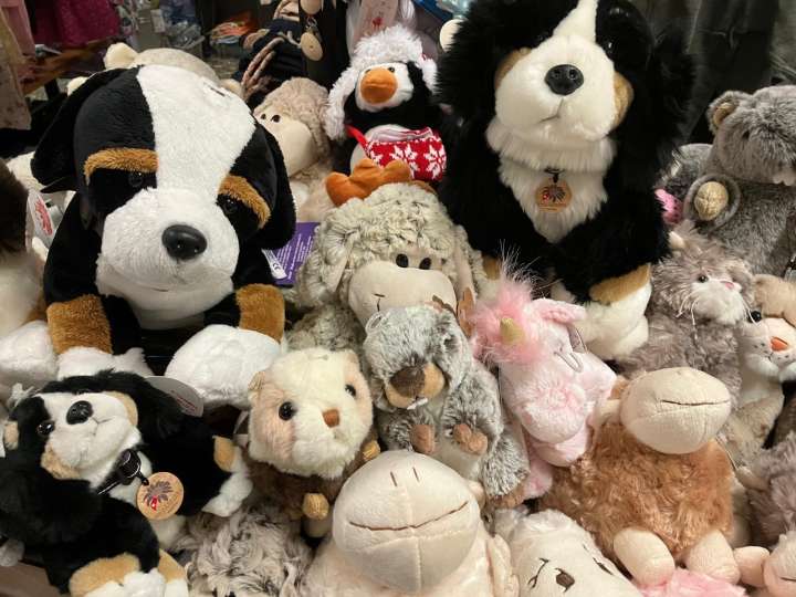 20% Rabatt: Plüschtiere in Susan's Gschenk- und Mode-Budigg