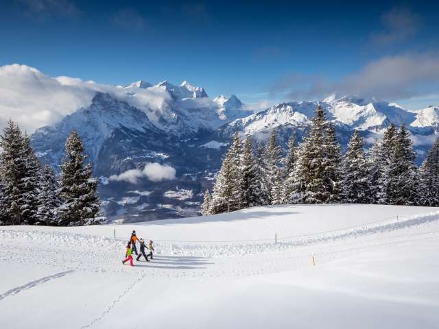 Randonnées hivernales