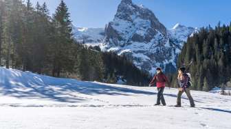 Randonnées hivernales