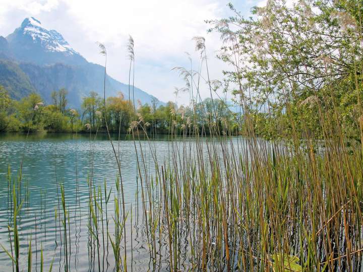 Chemin des perles de la nature