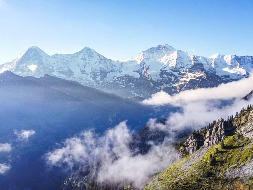 Tierische Begegnung in der Jungfrau Region