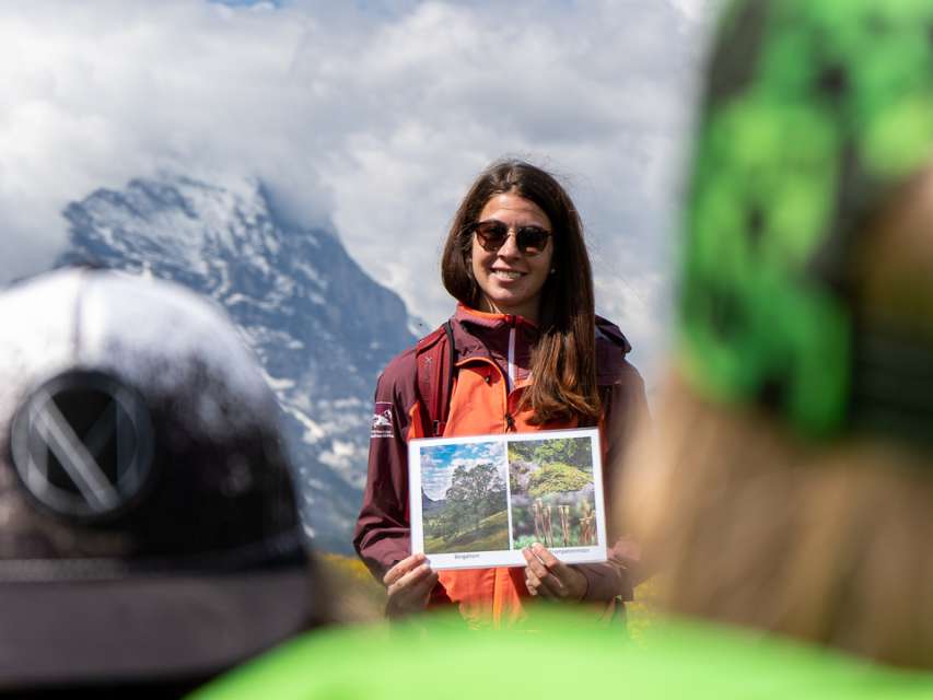 Enseignement dans le patrimoine mondial