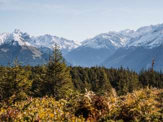 Vue sur une forêt de conifères, avec au loin une chaîne de montagnes imposante aux sommets enneigés.