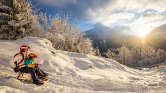 Sledging runs