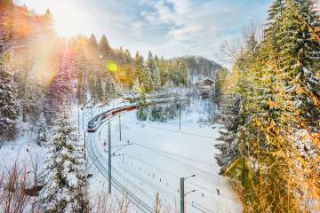 Durch die verschneite Winterlandschaft: Der Panoramazug Luzern-Interlaken Express der Zentralbahn unterwegs in der Region Brünig-Hasliberg.