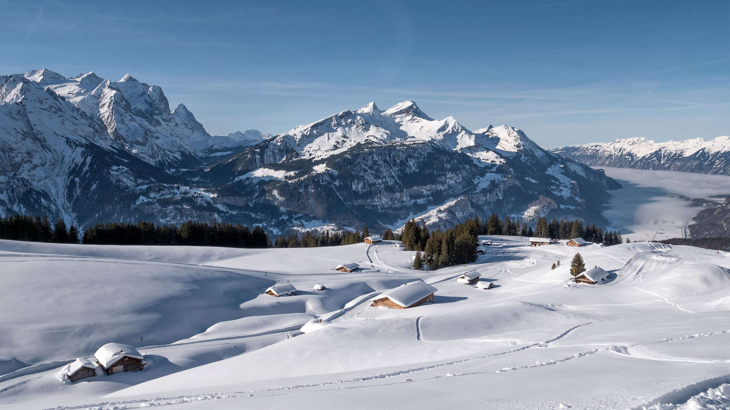 Winter Wunderland: Schneebedeckte Landschaft am Hasliberg, hoch über dem Nebelmeer.