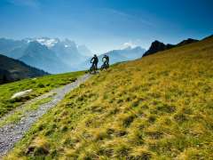 Two mountain bikers are riding along a mountain trail through the alpine landscape of the Hasliberg. The peaks of the Bernese Alps are visible in the background, while sunny mountain meadows dominate the scene.