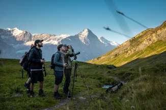 Geführte Wildtierbeobachtung in Grindelwald 2025 ©David Birri