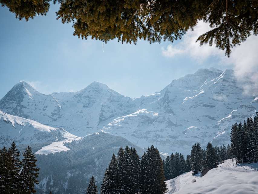 Gästeordner