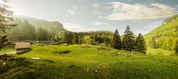 The Zentralbahn, nestled among green meadows and fir forests in the beautiful Haslital valley.