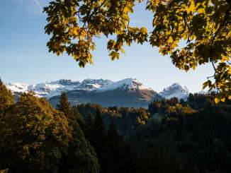 Leaves in autumnal colors frame the view of a mountain landscape with snow-capped peaks.