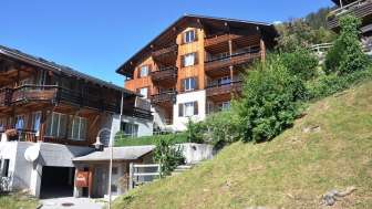 Wandelhorn