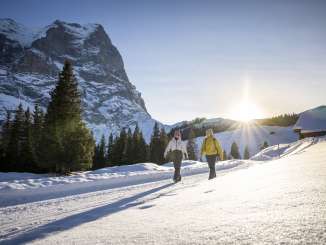 Deux personnes marchent côte à côte sur une piste de luge enneigée. Le soleil bas projette un contre-jour chaleureux et dessine de longues ombres sur la neige. À l'arrière-plan, on aperçoit des sapins touffus ainsi que le Wetterhorn. 