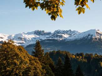 Herbstlich gefärbte Blätter rahmen den Blick auf eine Berglandschaft mit verschneiten Gipfeln.