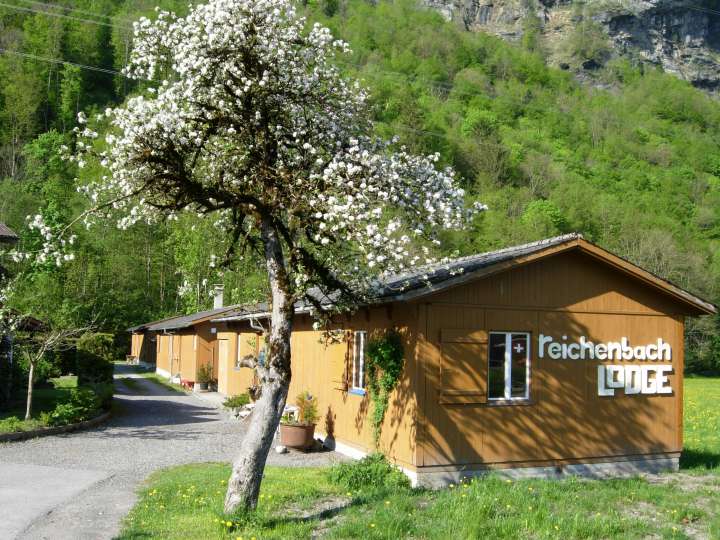 Reichenbach Lodge