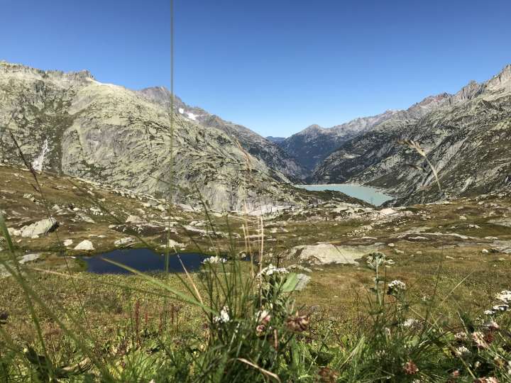 Handegg Fair Hands Line