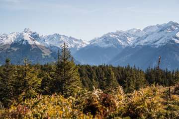 Blick über ein Nadelwaldgebiet hin zu einer markanten Bergkette mit verschneiten Gipfeln.