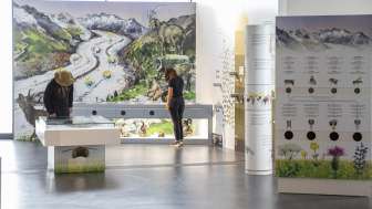 Kostenlos: Erlebniswelt UNESCO-Welterbe Jungfrau-Aletsch