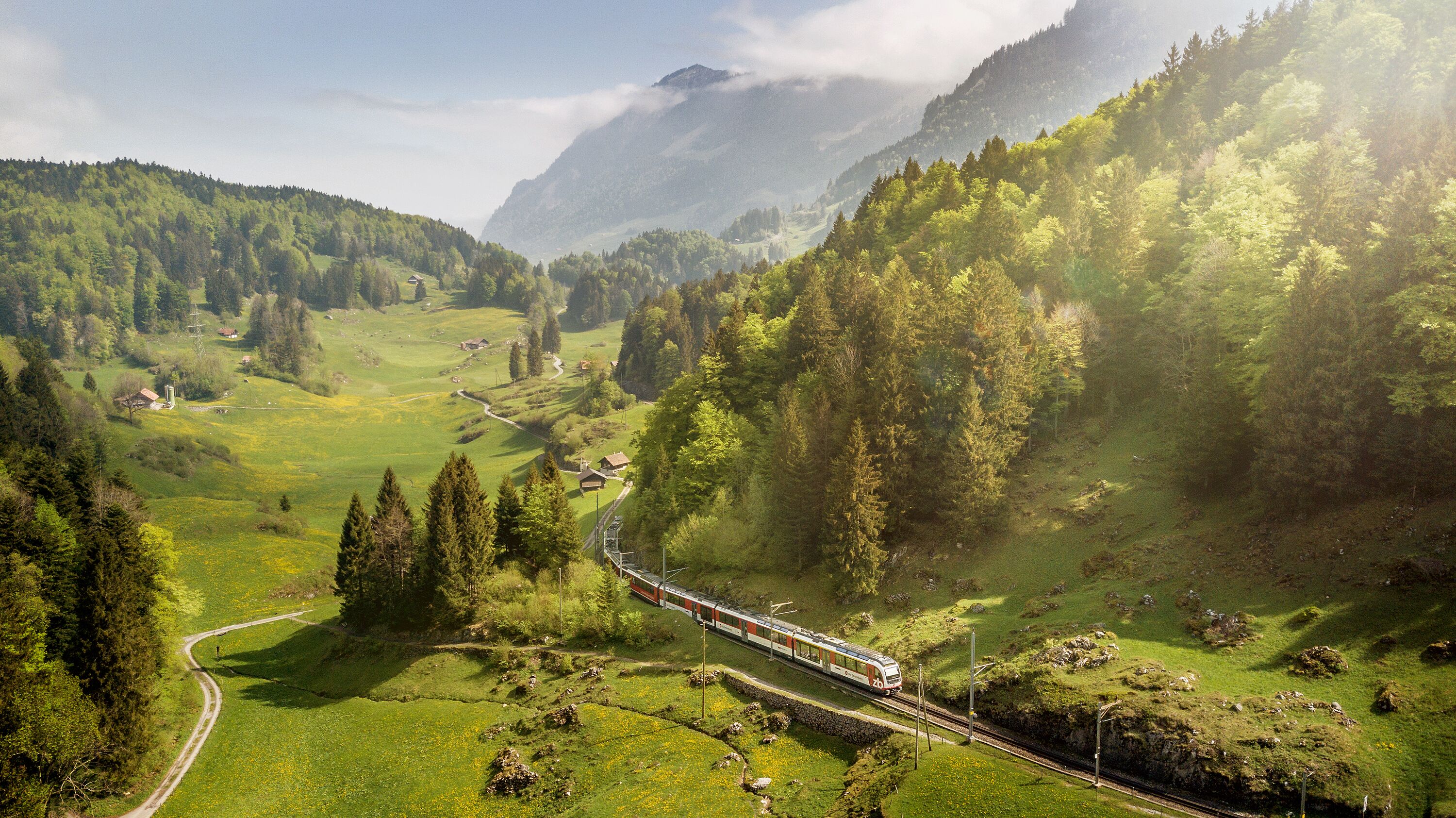 Die Zentralbahn inmitten grüner Wiesen und Tannenwälder im schönen Haslital.
